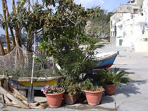 Corricella 052